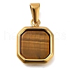 304 Stainless Steel Pave Natural Tiger Eye Pendants STAS-Z113-01G-02-1