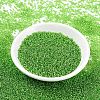 MIYUKI Round Rocailles Beads X-SEED-G007-RR2423-2