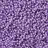 TOHO Round Seed Beads X-SEED-TR15-0943-2
