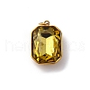 316 Stainless Steel Faceted Glass Pendants STAS-K258-48G-05-1