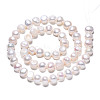 Natural Cultured Freshwater Pearl Beads Strands X1-PEAR-N014-07G-2