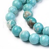 Natural Howlite Beads Strands G-L555-02-6mm-8