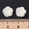 Natural White Shell Beads SSHEL-C012-06-3