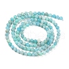Natural Amazonite Beads Strands X-G-P500-01B-01-3