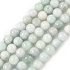 Natural Myanmar Jadeite Beads Strands G-M454-A01-8mm-2