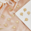 DICOSMETIC 12Pcs Ion Plating(IP) 316L Surgical Stainless Steel Pendants FIND-DC0006-37-4