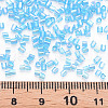 Glass Bugle Beads SEED-S032-10A-163-4