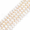 Natural Cultured Freshwater Pearl Beads Strands PEAR-N013-04B-01-1