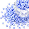 6/0 Glass Seed Beads SEED-T005-14-B24-1