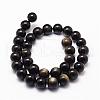 Natural Golden Sheen Obsidian Beads Strands G-D838-8mm-05-2
