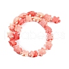 Synthetic Shell Dyed Carved Beads Strands SHEL-C008-02-2