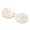 Natural White Shell Carved Beads SSHEL-Z002-03-2