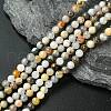 Natural Bamboo Leaf Agate Round Beads Strands G-M248-4mm-04-1