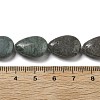 Natural Indian Agate Beads Strands G-P528-L25-01-5