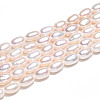 Natural Cultured Freshwater Pearl Beads Strands PEAR-N012-04W-5