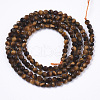 Natural Tiger Eye Beads Strands G-R462-028-2