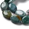 Natural Indian Agate Beads Strands G-P528-M27-01-4