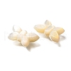 Natural White Shell Beads BSHE-Z008-02-3