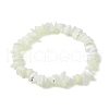 Natural Trochus Shell Chip Beaded Stretch Bracelets for Women Men BJEW-JB10549-1