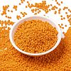 MIYUKI Round Rocailles Beads SEED-X0055-RR0405-2
