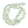 Natural Prehnite Beads Strands G-F790-H03-03-3
