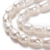 Natural Cultured Freshwater Pearl Beads Strands PEAR-J005-62-2