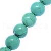 Natural Howlite Beads Strands TURQ-P027-32-8mm-1