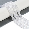 Natural Selenite Beads Strands G-F750-09-2