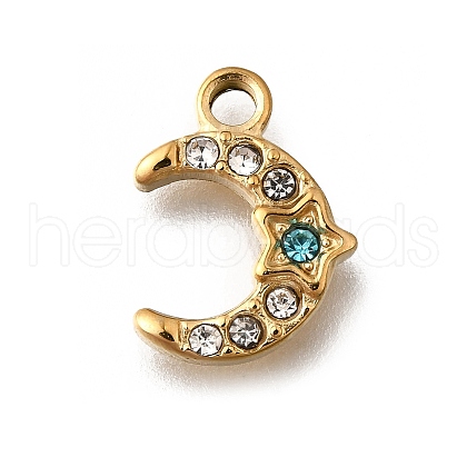 304 Stainless Steel Charms STAS-F318-07G-1