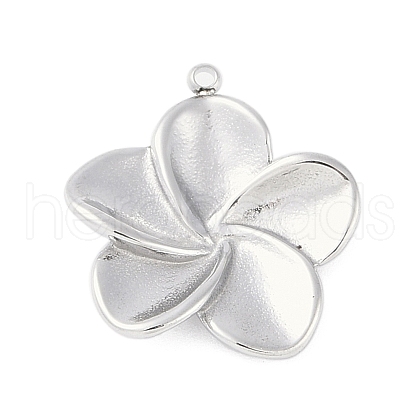 Non-Tarnish 304 Stainless Steel Pendants STAS-L022-420P-1