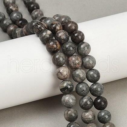 Natural Gemstone Beads Strands G-F792-C11-06-1