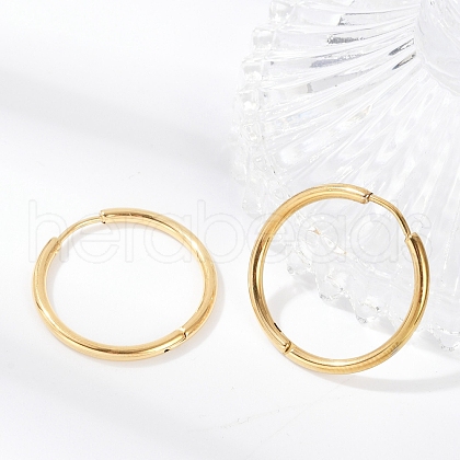 304 Stainless Steel Huggie Hoop Earrings EJEW-G272-02-20mm-G-1