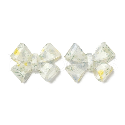Transparent Printed Acrylic Cabochons OACR-M008-01B-1