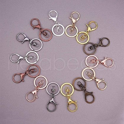 Iron Alloy Lobster Claw Clasp Keychains KEYC-PH0001-05-1