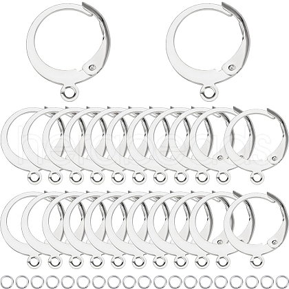 SUNNYCLUE 80Pcs 304 Stainless Steel Leverback Earring Findings STAS-SC0006-62P-1