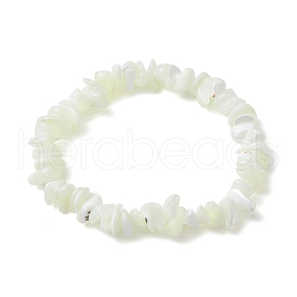 Natural Trochus Shell Chip Beaded Stretch Bracelets for Women Men BJEW-JB10549-1
