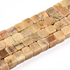 Natural Yellow Opal Beads Strands G-T140-44A-01-4