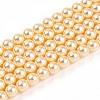 Baking Painted Pearlized Glass Pearl Bead Strands HY-N002-5mm-A09-2