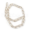 Electroplate Glass Beads Strands EGLA-L045-F-PL01-2