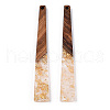 Transparent Resin & Walnut Wood Big Pendants RESI-N039-68A-3