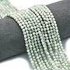Natural Jadeite Jade Beads Strands G-A260-A36-01-1