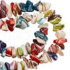 SUNNYCLUE 187Pcs Nuggets Chips Natural Shell Beads BSHE-SC0001-15-1