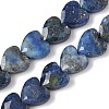 Natural Lapis Lazuli Beads Strands G-D316-B11-2