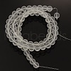 Frosted Glass Beads Strands G-I081-02-2
