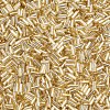 Plated Glass Bugle Beads SEED-S046-01A-22-3