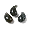 Natural Indian Agate Pendants G-NH0047-01E-1