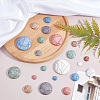 SUNNYCLUE 48Pcs 8 Style Resin Cabochons CRES-SC0001-77-4