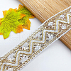 10 Yards Polyester Embroidery Lace Ribbon with Paillette PW-WG94215-03-3