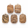 Natural Picture Jasper Pendants G-S359-290B-1