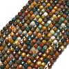 Natural Ocean Jasper Beads Strands G-A260-A30-01-2